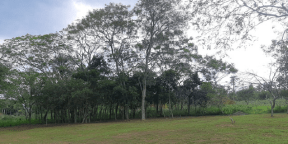 Vendo 5 terrenos de 430m2 cada uno en Loma Grande