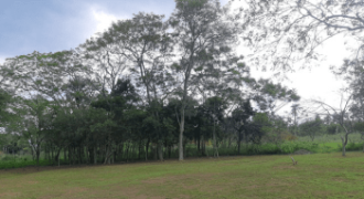 Vendo 5 terrenos de 430m2 cada uno en Loma Grande